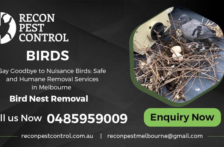  Keep Your Solar Panels Bird-Free with Solar Panel Bird Proofing Melbourne Solar panels are a great way to reduce energy costs, but they can also become an attractive nesting spot for birds. Bird nests and droppings can block sunlight and reduce the efficiency of your solar panels, not to mention the potential for damage over time. That’s why Solar Panel Bird Proofing Melbourne is essential to keep your system running smoothly. Why Solar Panel Bird Proofing Matters Birds nesting under solar panels can cause a range of problems: Reduced efficiency: Nests and debris block sunlight, lowering energy production. Potential damage: Bird droppings are acidic and can corrode the surface of the panels. Increased maintenance: Without bird proofing, you may need more frequent cleaning and repairs. Professional Bird Proofing for Long-Term Protection With Solar Panel Bird Proofing Melbourne, a durable mesh or barrier is installed around your panels to prevent birds from nesting underneath. This solution ensures that your solar panels remain clean and functional, saving you time and money on maintenance. Solar Panel Bird Proofing Melbourne: A Smart Investment for Solar Owners Solar panels are an environmentally friendly and cost-effective energy source, but they are also prone to attracting birds that seek shelter under them. Unfortunately, bird nests and droppings can severely impact the efficiency and lifespan of your panels. The good news is that Solar Panel Bird Proofing Melbourne offers a solution to these issues. How Birds Can Damage Your Solar Panels Birds nesting under your solar panels can cause: Obstruction of sunlight: Nests and droppings reduce the amount of sunlight your panels receive, lowering their energy output. Corrosion: Bird droppings are acidic and can wear down the surface of the panels, leading to damage over time. Fire hazards: Nesting materials are flammable, creating a fire risk during hot weather. The Solution: Bird Proofing By installing a protective barrier around your solar panels, bird proofing keeps birds from nesting beneath them while still allowing airflow. Solar Panel Bird Proofing Melbourne offers expert installation that protects your solar investment and ensures peak performance. Maximize the Lifespan of Your Solar Panels with Solar Panel Bird Proofing Melbourne