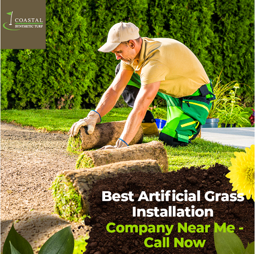  Tampa Pet Turf: Best Artificial Grass for Dogs and Pets