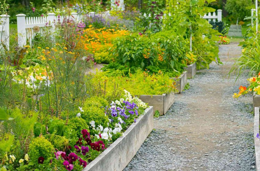  How Do You Start a Garden from Scratch?