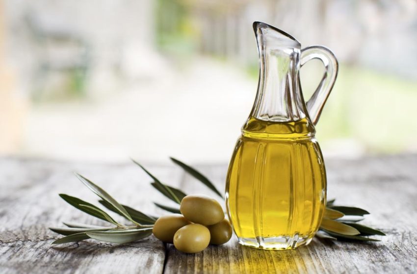  Olive Oil Manufacturing Plant Project Report 2024- Setup Details, Machinery Requirements and Cost Analysis