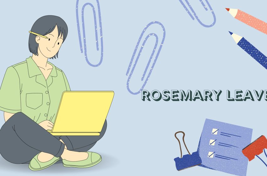  Rosemary Leaves: From Ancient Herb to Modern Marvel