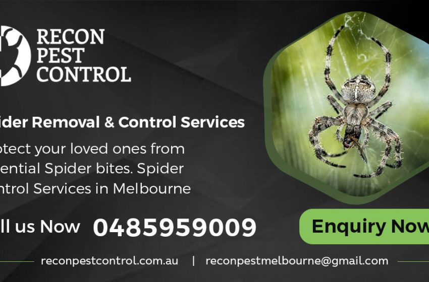  Spider Control Melbourne