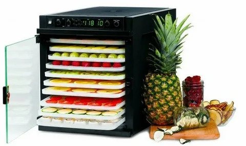  12 Ways a Food Dehydrator Boosts Restaurant Productivity