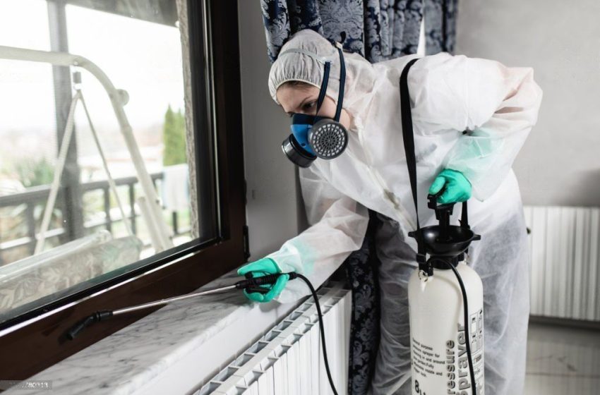  The Ultimate Guide to Pest Control: Protecting Your Home and Health