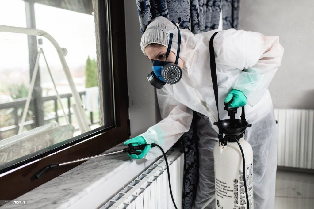 The Ultimate Guide to Pest Control: Protecting Your Home and Health