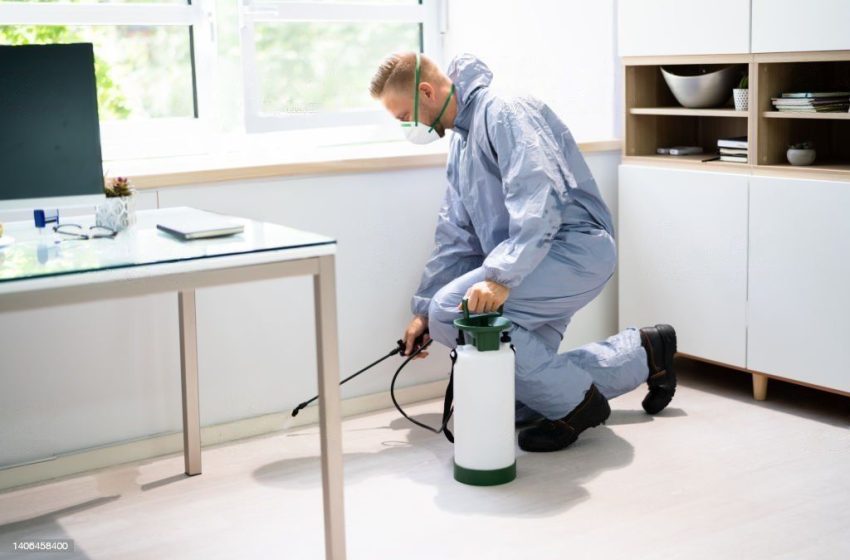  The Ultimate Guide to Pest Control: Tips for a Pest-Free Home