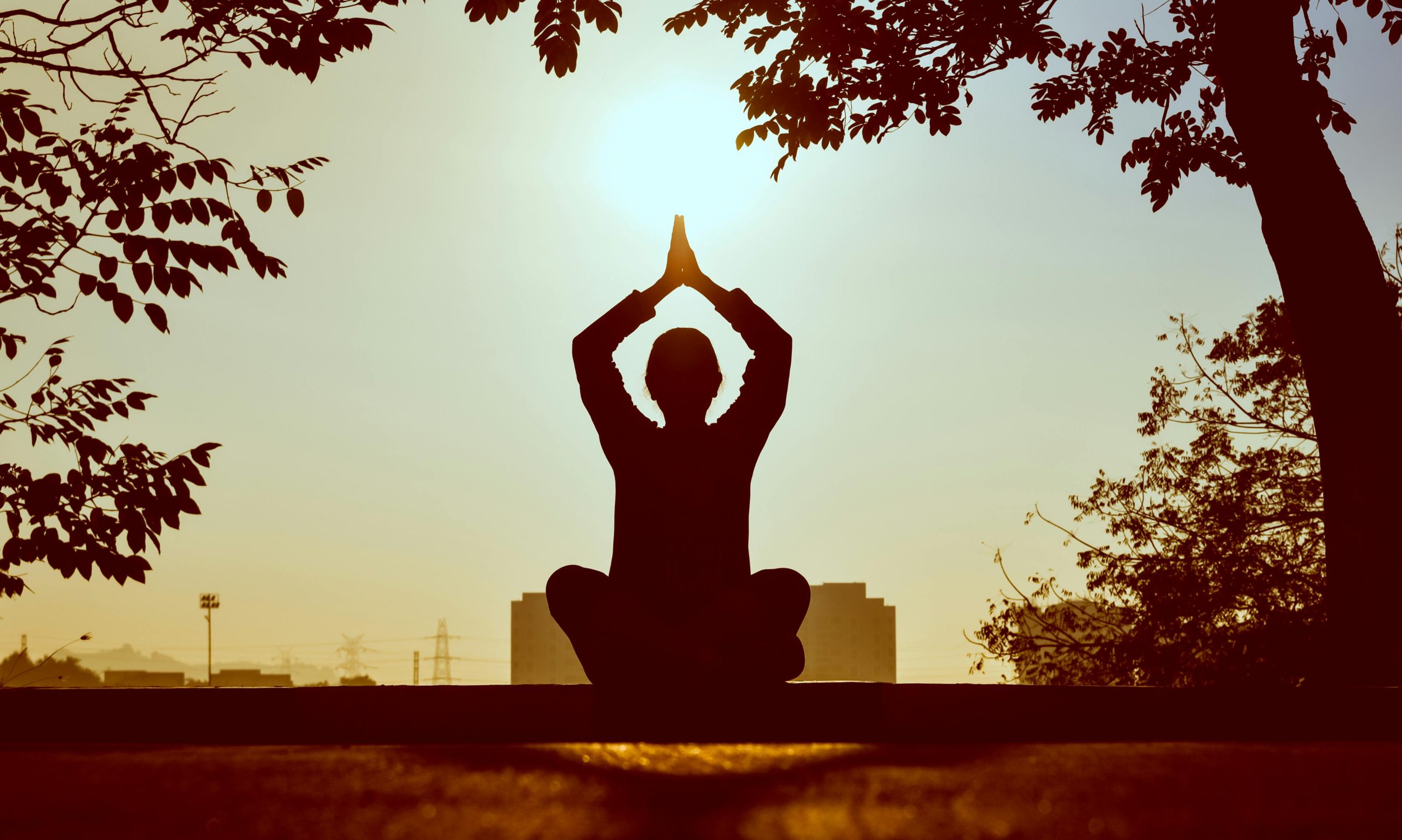 How to Meditate: A Beginner’s Guide to Mindfulness and Inner Peace