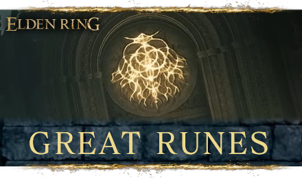  How Can You Confirmed With Elden Ring Runes?