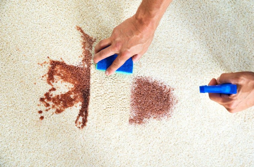  Spot Cleaning Tips for Rug Spills