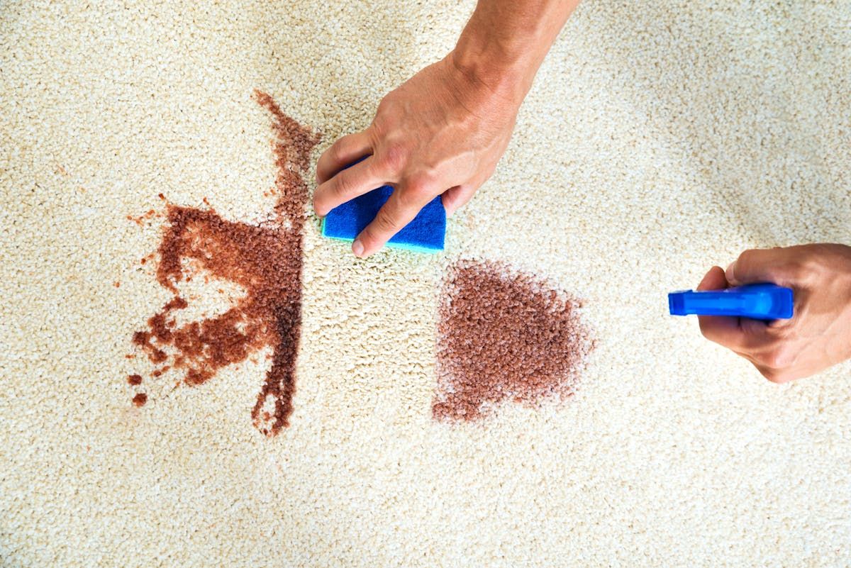 Spot Cleaning Tips for Rug Spills