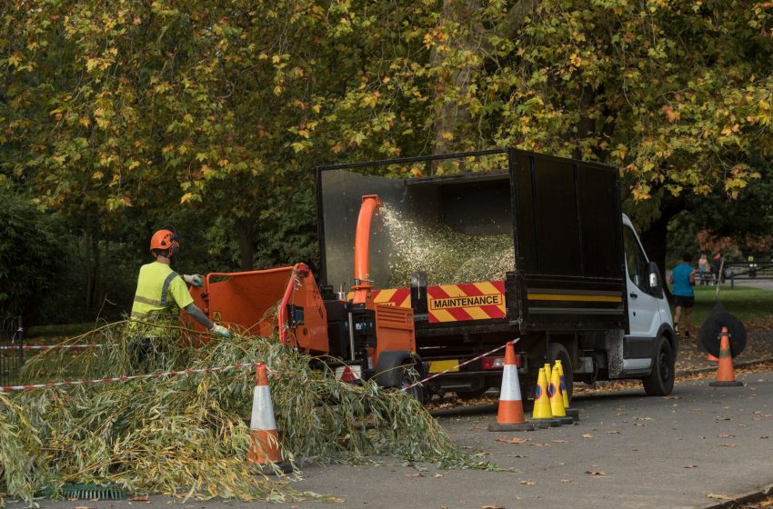  Tree Surgeons in Hertfordshire and North London