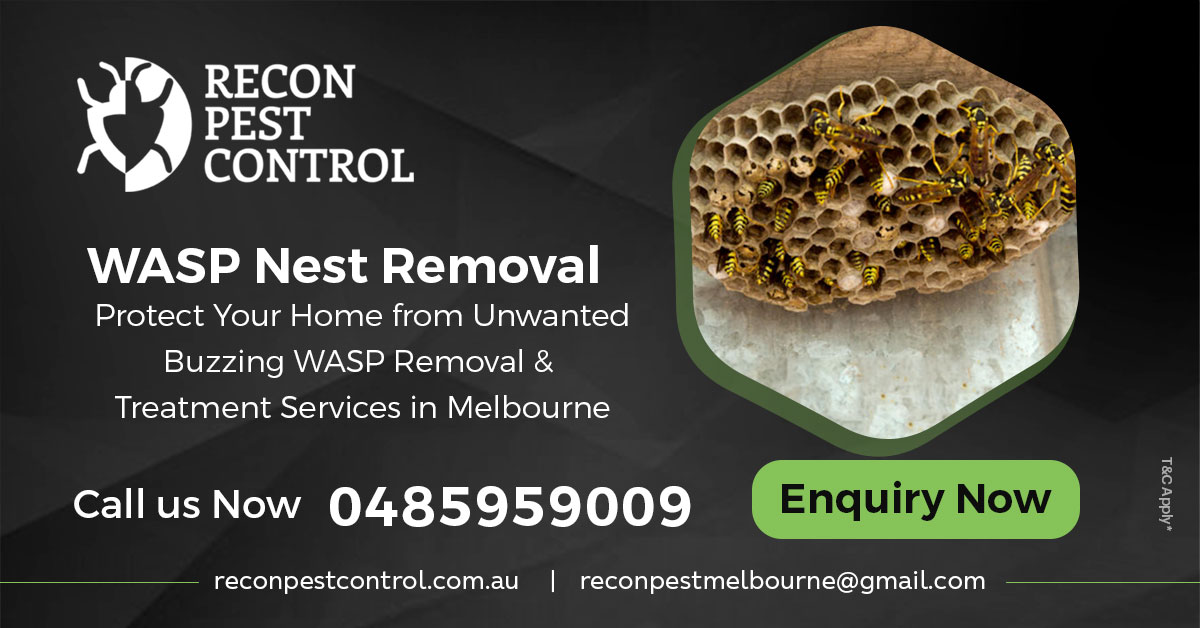 Wasp Nest Removal in Melbourne: What to Do if You Get Stung