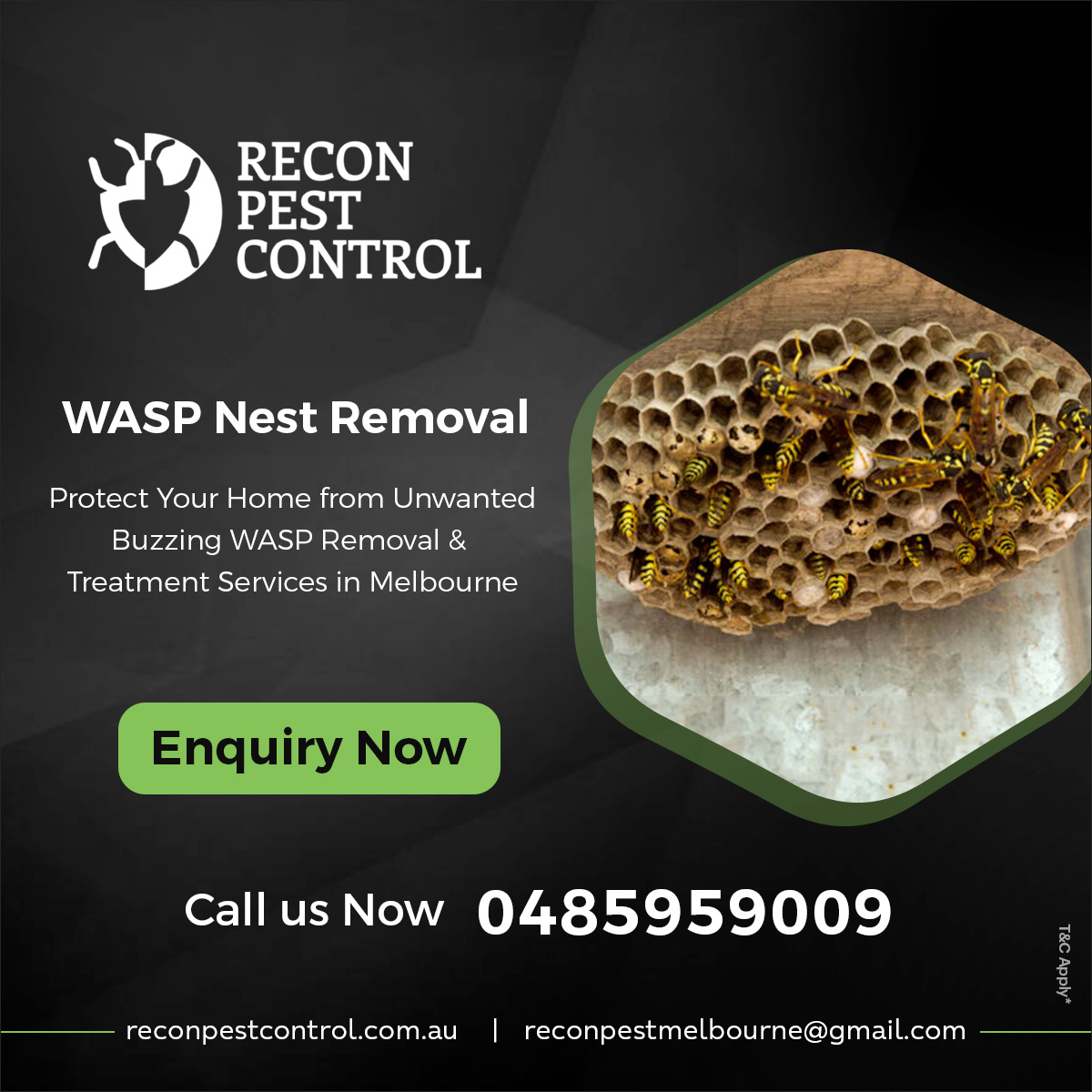 The Importance of Professional Wasp Nest Control in Melbourne