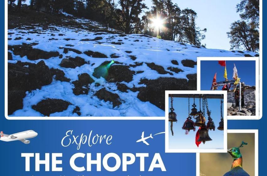  How to Reach Chopta from Delhi