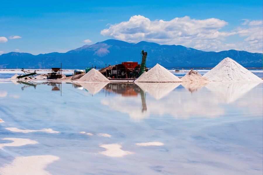 Unlocking India’s Industrial Salt Potential: Top Manufacturers Shaping the Industry