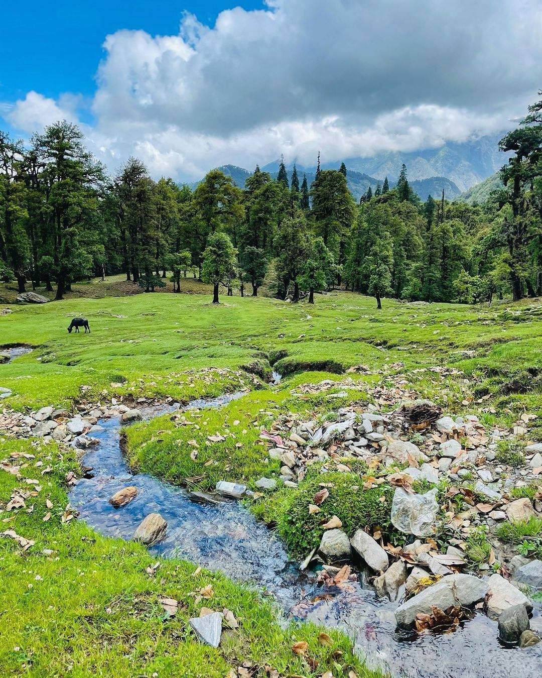 A Journey to the Heights: Tungnath and Chandrashila