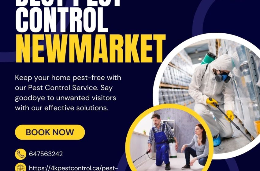  Why Newmarket Businesses Need Continuous Pest Inspection