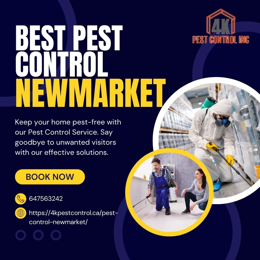 Why Newmarket Businesses Need Continuous Pest Inspection