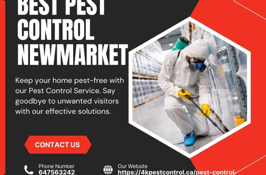  How 4K Pest Control Helps Keep Newmarket Homes Pest-Free All Year