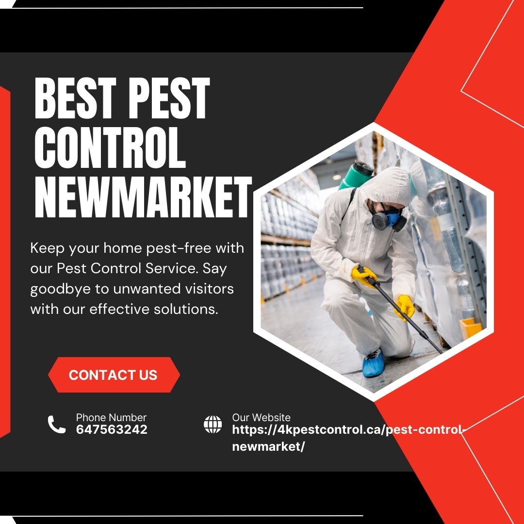 How 4K Pest Control Helps Keep Newmarket Homes Pest-Free All Year