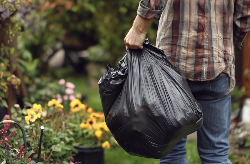  Garden Waste Removal in Cape Town: A Simple Guide