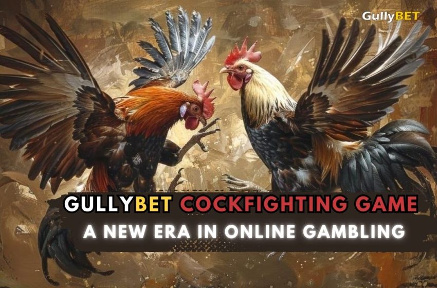  GullyBET Cockfighting Game: A New Era in Online Gambling