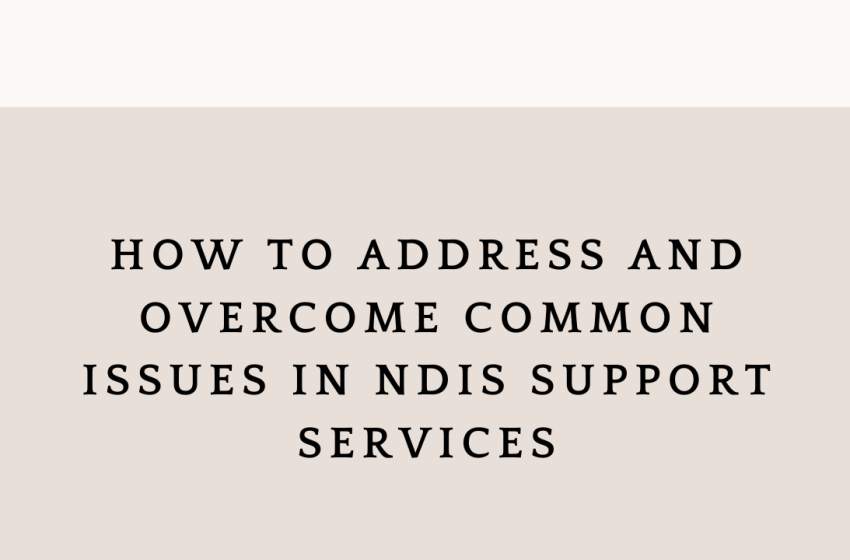  How to Address and Overcome Common Issues in NDIS Support Services