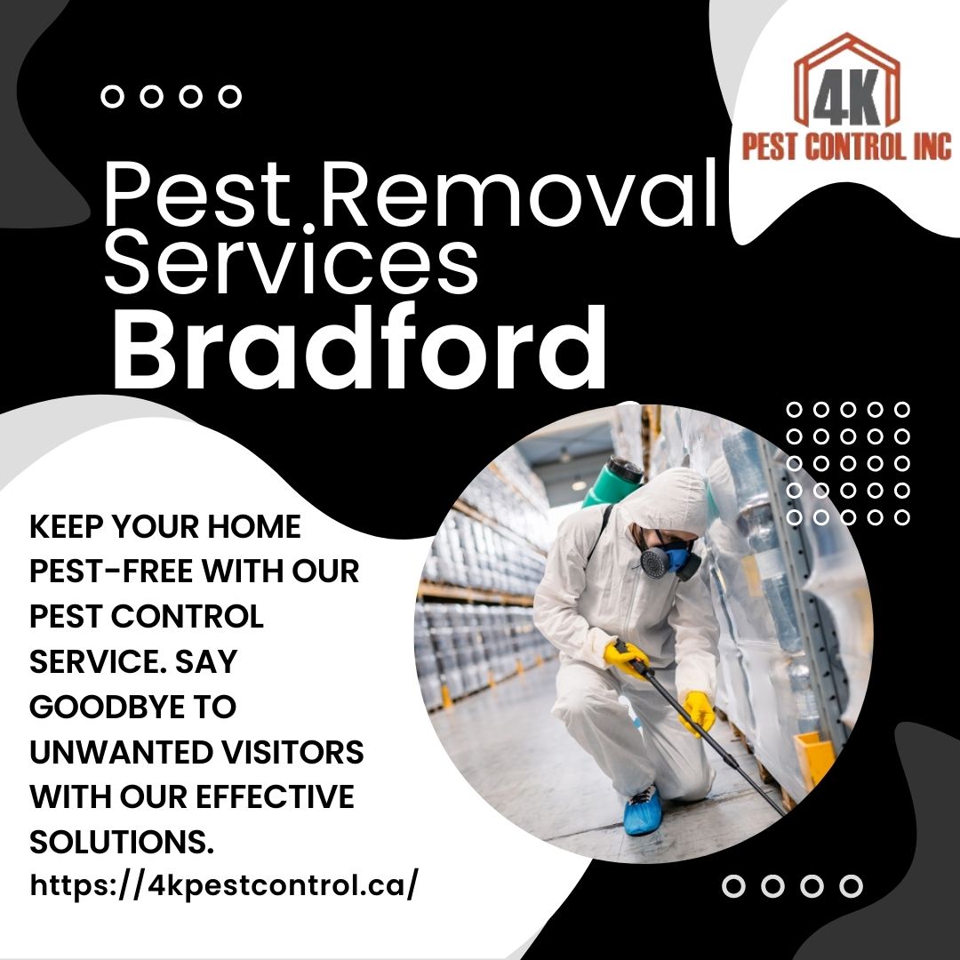 Why 4K Pest Control is the Best Pest Company in Bradford