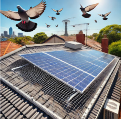  Protect Your Solar Panels with Effective Bird Proofing in Melbourne