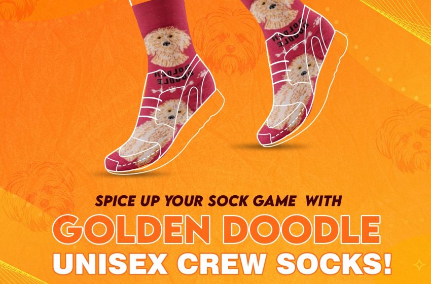  Shop Quirky, Fun, and Dog Breed Socks Online: Cool & Novelty Socks for Men at Trendy Zone 21