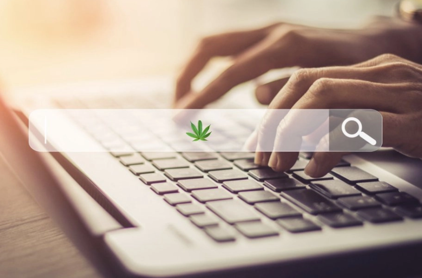  Powering Cannabis Businesses With Professional SEO Services: Expert Tips