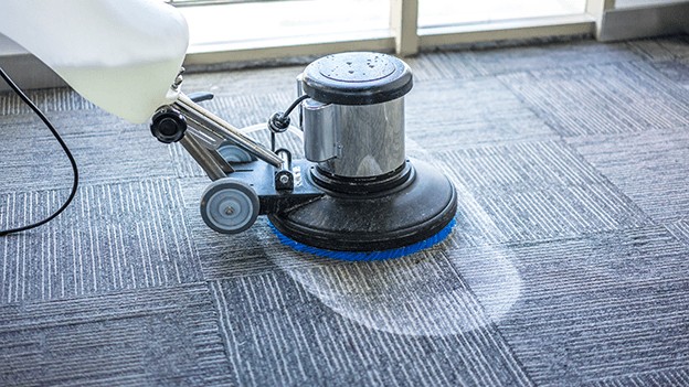  Revive Your Home: Top Carpet Cleaning Tips from the Pros