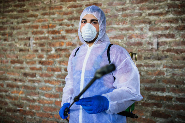  Comprehensive Guide to Pest Control: Safeguarding Your Home and Health