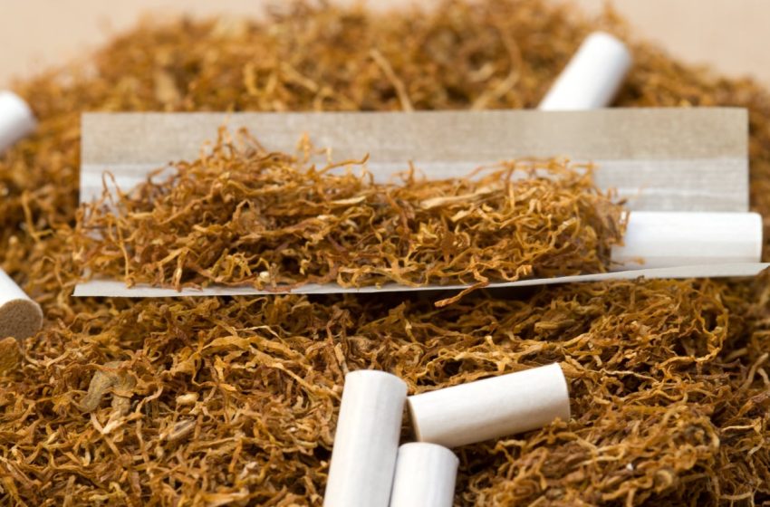  Unlock the Rich Flavor of Intensive Tobacco with Heat-Not-Burn Technology