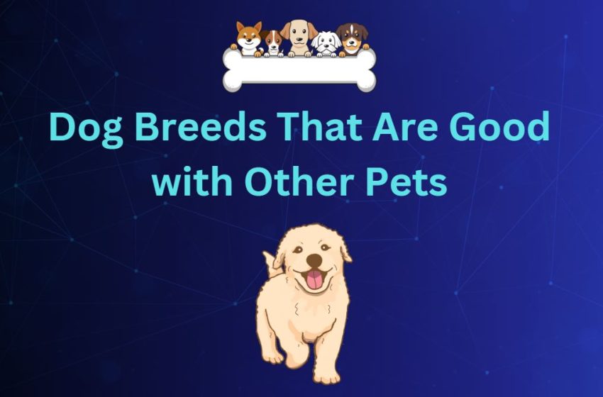  Dog Breeds That Are Good with Other Pets