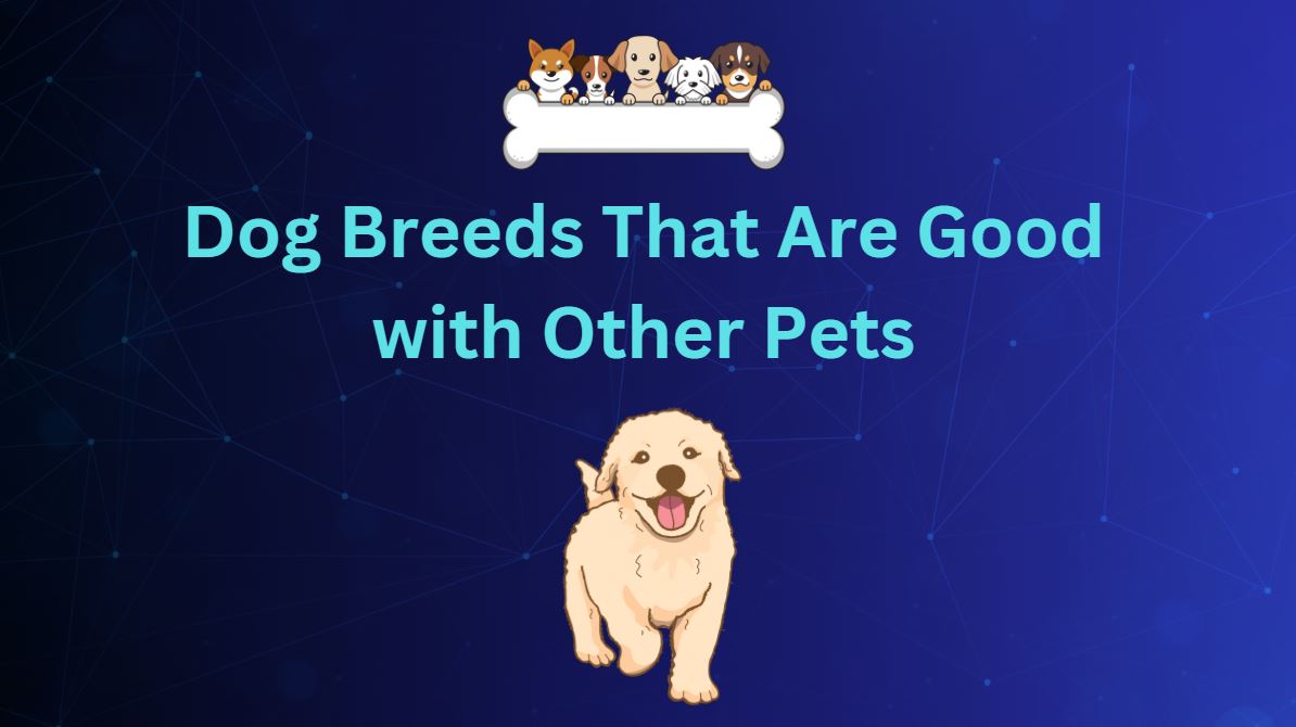 Dog Breeds That Are Good with Other Pets