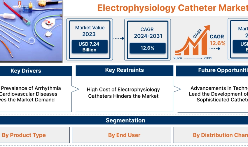  Electrophysiology Catheter Market Share Analysis, Investment Analysis & Growth Prospects