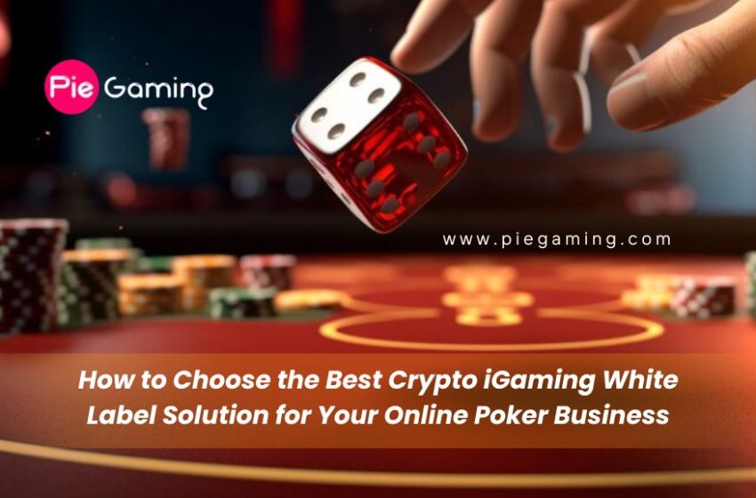  How to Choose the Best Crypto iGaming White Label Solution for Your Online Poker Business