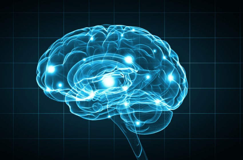  Understanding the Brain’s Role in Mental Health