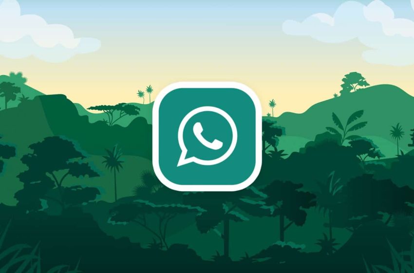  GB WhatsApp Download APK Updated Version For Android