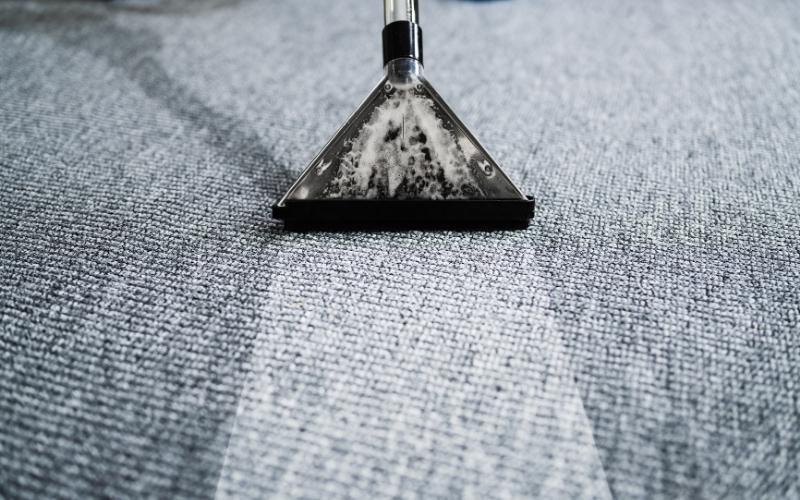  Why Regular Carpet Cleaning is a Must for Your Workplace