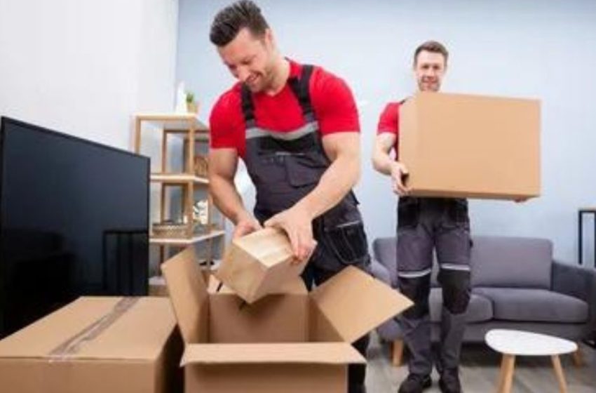  Auckland Office Movers vs. DIY: Which Is the Right Choice for Your Business?