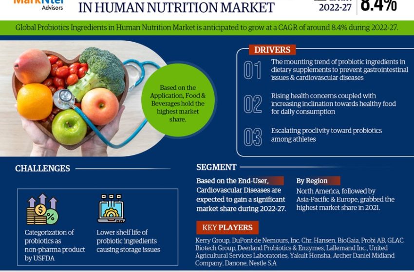  Probiotics Ingredients in Human Nutrition Market Insights: A Comprehensive Look at Size, Share, and Growth Factors for 2027