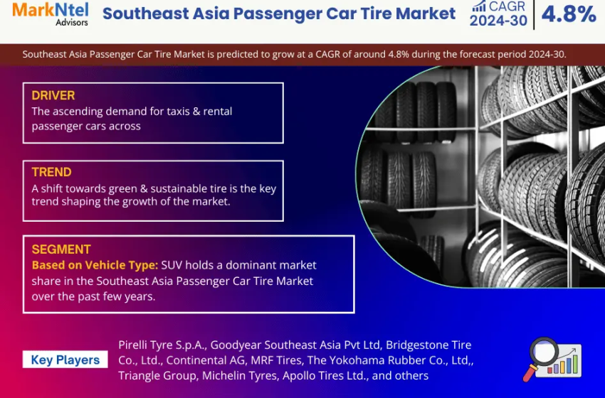  Southeast Asia Passenger Car Tire Market Share Analysis: Insights and Trends