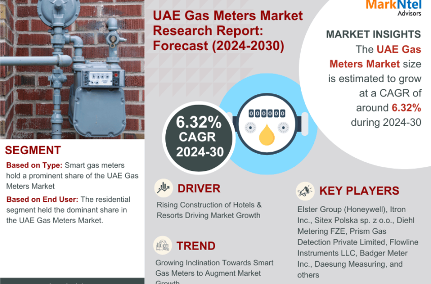  United Arab Emirates (UAE) Gas Meters Market Segmentation: Insight and Analysis 2024-2030