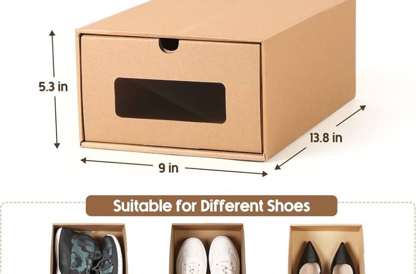  A Comprehensive Guide to Shoe Box Sizes