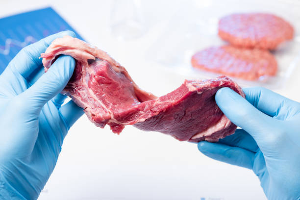  Cultured Meat Market is expected to gain market growth in the forecast period of 2025