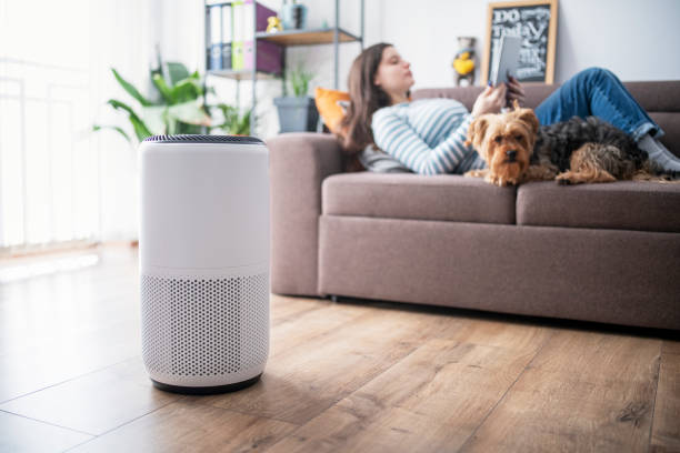  China Air Purifier Market Growth Analysis: Key Drivers and Industry Trends from 2025