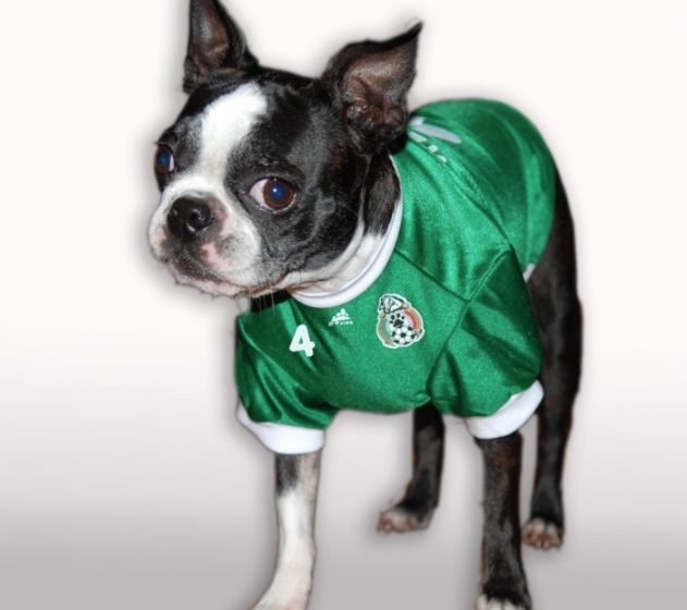  The Best Mexico Dog Jerseys for Your Furry Fan