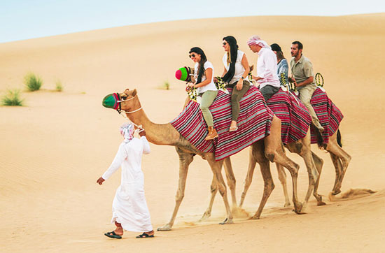  Top 5 Reasons To Book A Qatar Adventure Desert Safari Today